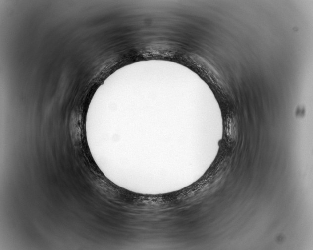 X0000103450915200810101124