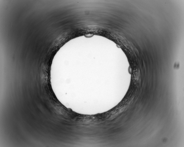 X0000103450916200810101124