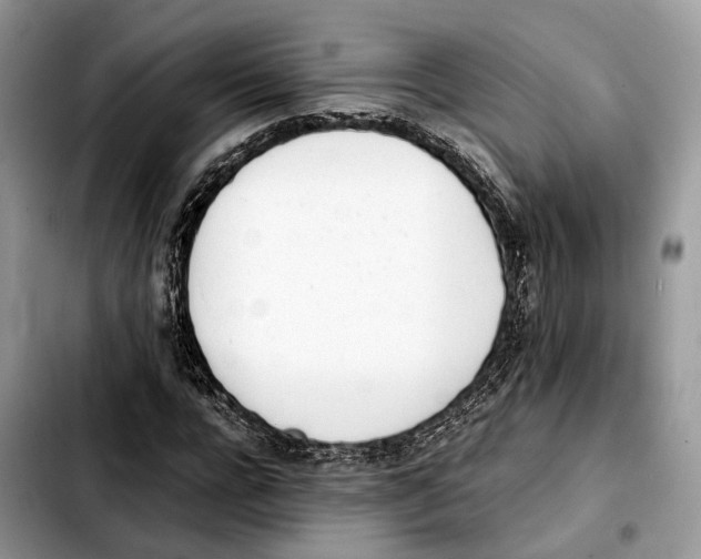 X0000103450920200810101124