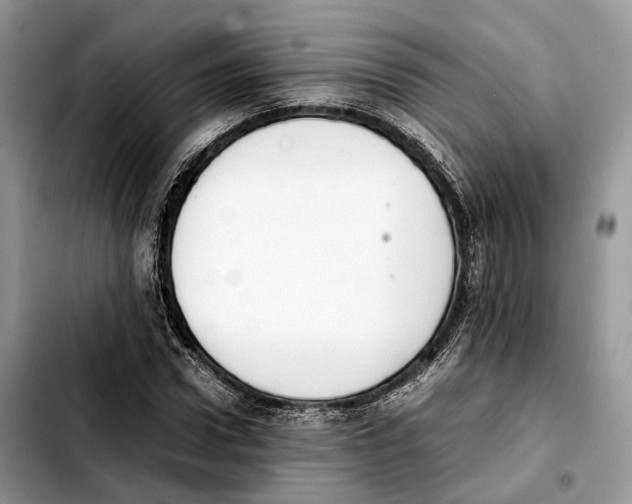 X0000103450922200810101124