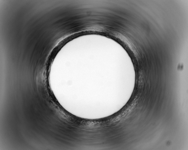 X0000103450923200810101124