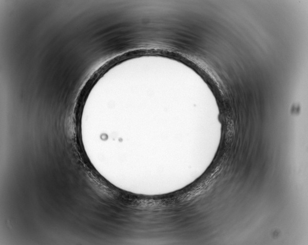 X0000103450927200810101124