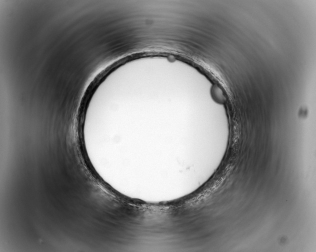 X0000103450928200810101124