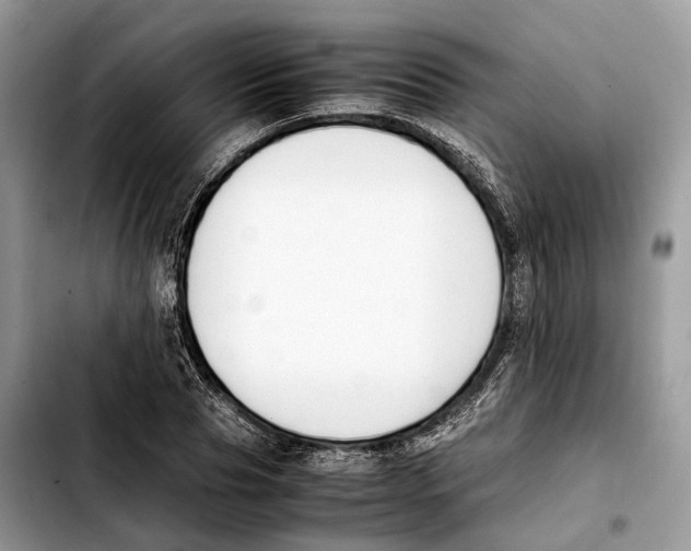 X0000103450929200810101124