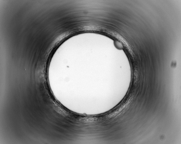 X0000103450930200810101124