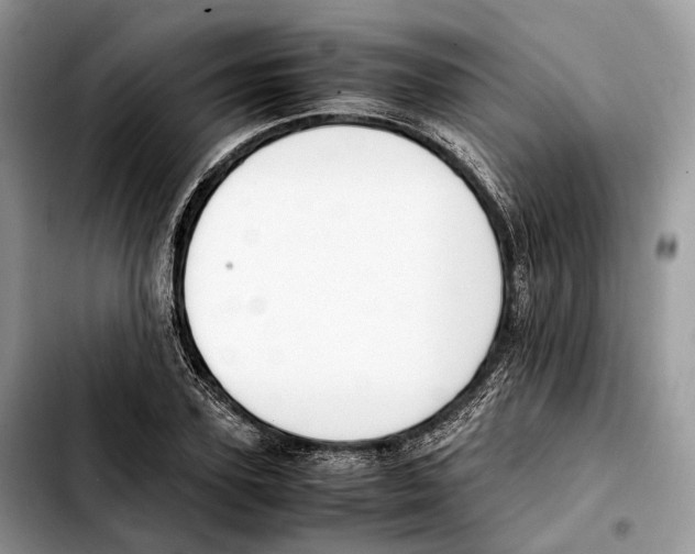 X0000103450931200810101124