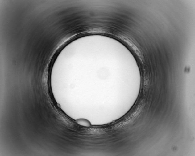 X0000103450933200810101124