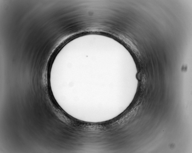 X0000103450934200810101124