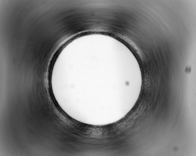 X0000103450935200810101124