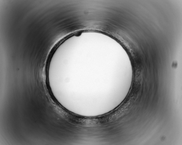 X0000103450936200810101124