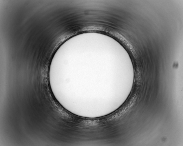 X0000103450937200810101124