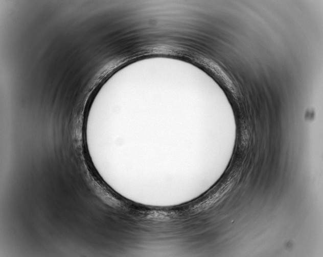 X0000103450938200810101124