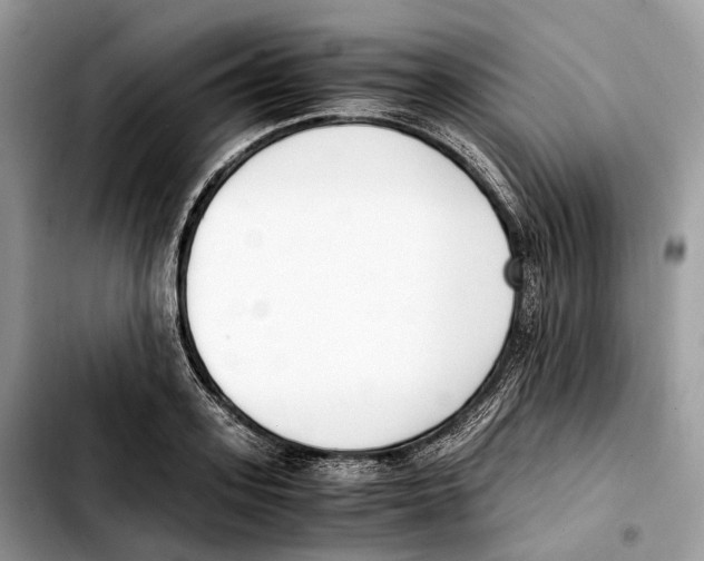 X0000103450939200810101124