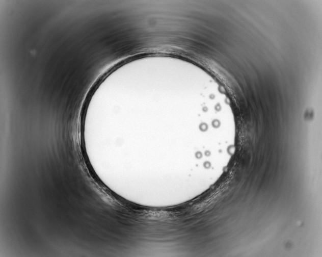 X0000103450940200810101124