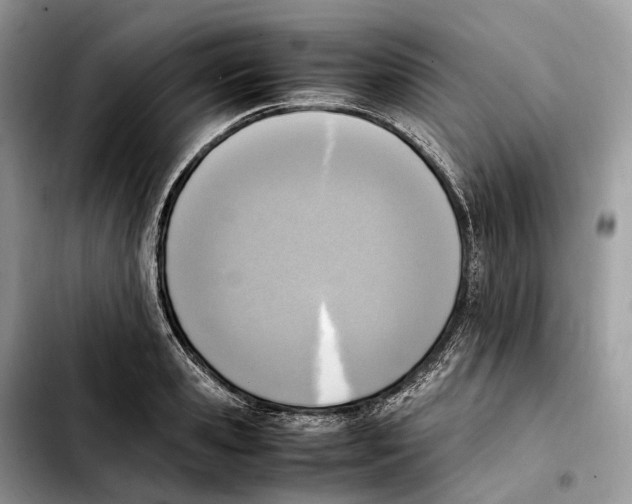 X0000103450941200810101124