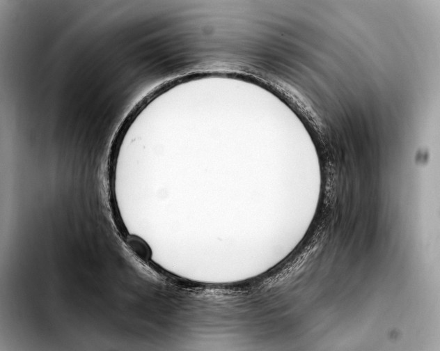 X0000103450942200810101124