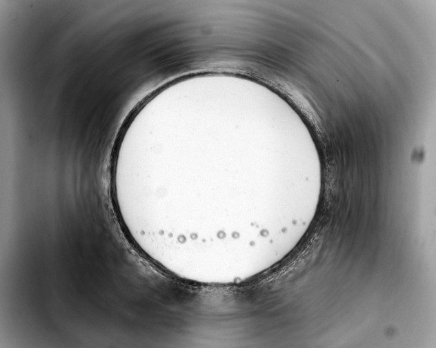 X0000103450944200810101124