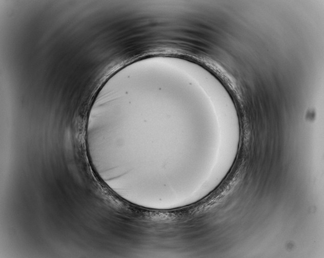 X0000103450945200810101124