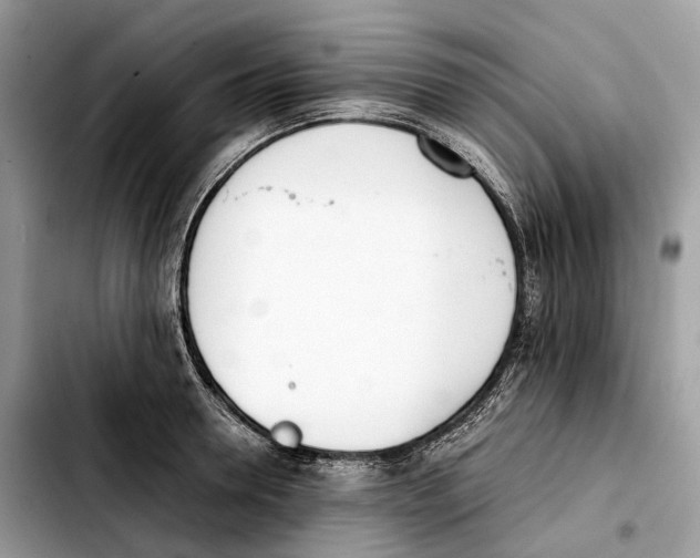 X0000103450946200810101124