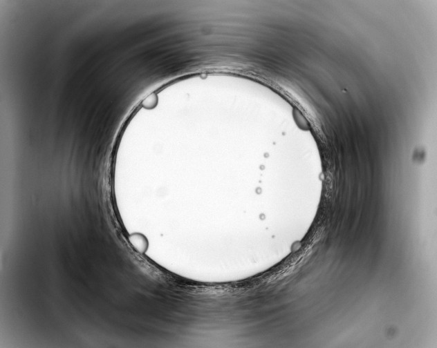 X0000103450948200810101124