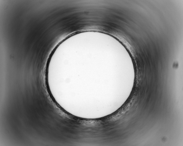 X0000103450949200810101125