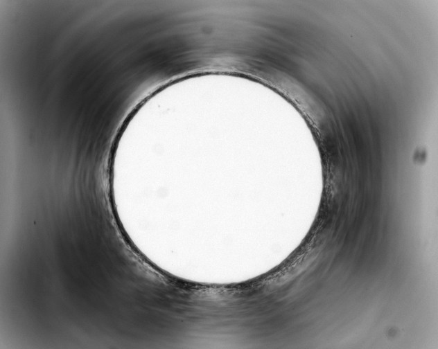 X0000103450950200810101125