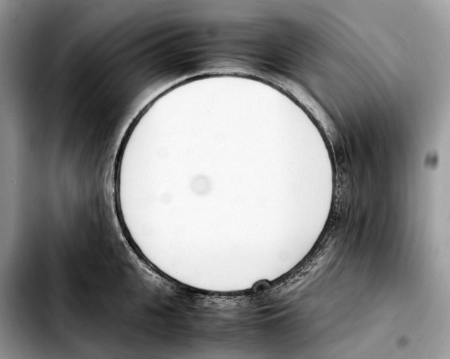 X0000103450951200810101125