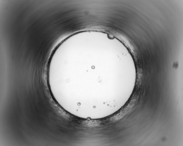 X0000103450952200810101125