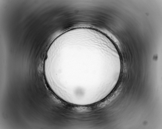 X0000103450953200810101125