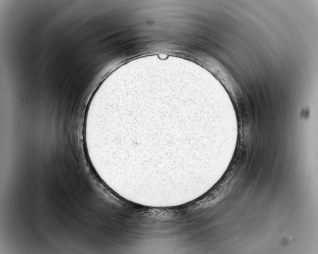 X0000103450954200810101125