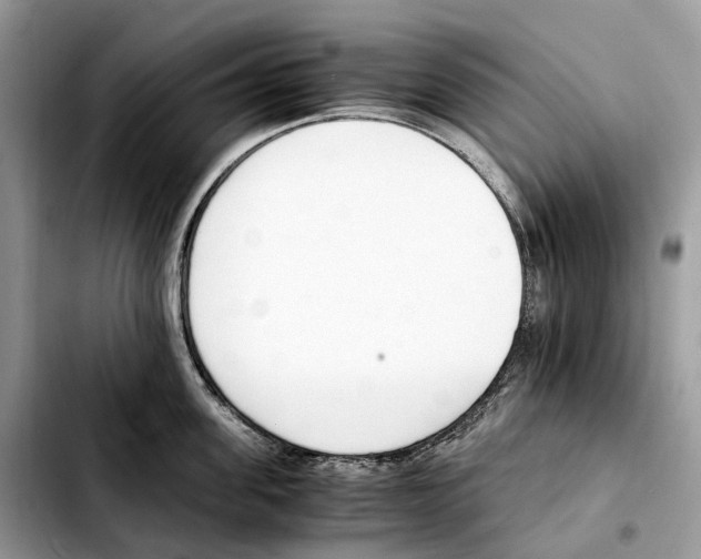 X0000103450955200810101125