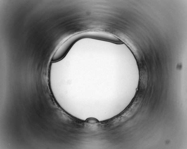 X0000103450956200810101125