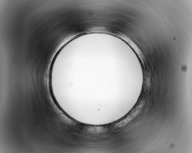 X0000103450957200810101125