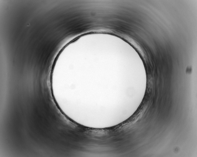 X0000103450959200810101125