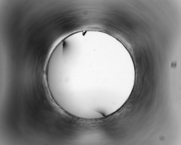 X0000103450960200810101125