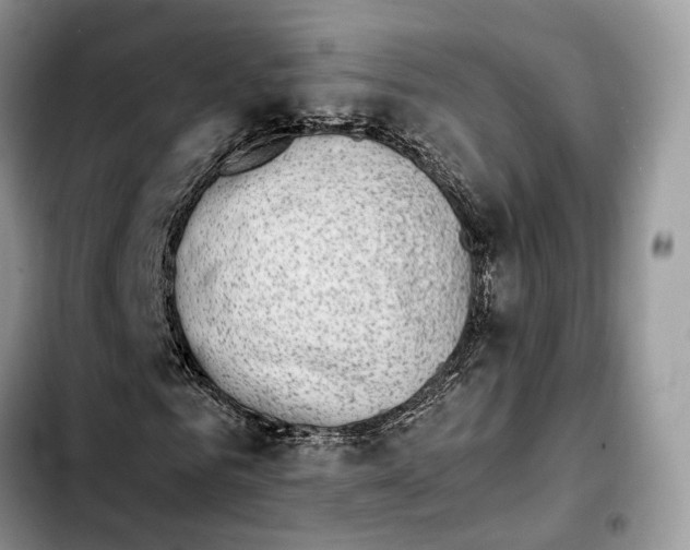 X0000103450961200810101124