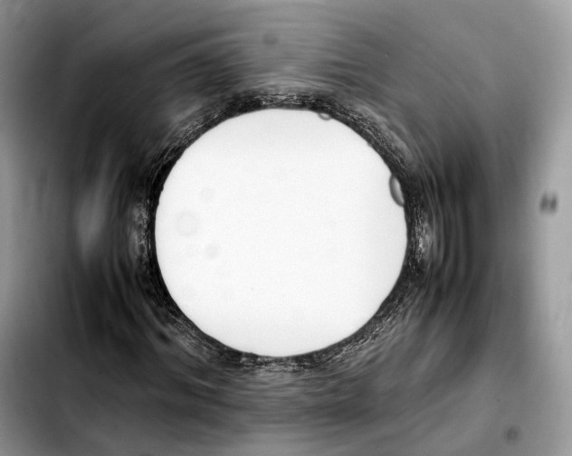 X0000103450964200810101124