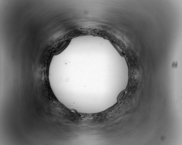 X0000103450965200810101124