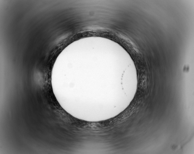 X0000103450966200810101124