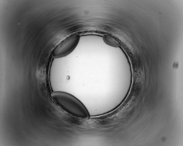 X0000103450969200810101124