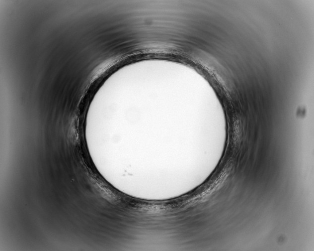 X0000103450970200810101124