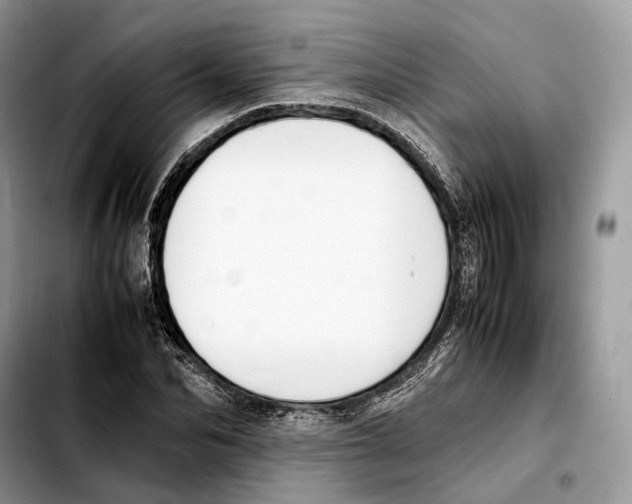 X0000103450974200810101124