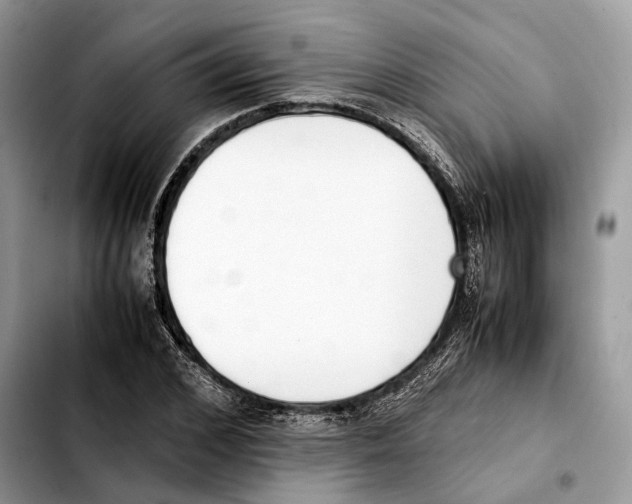 X0000103450976200810101124