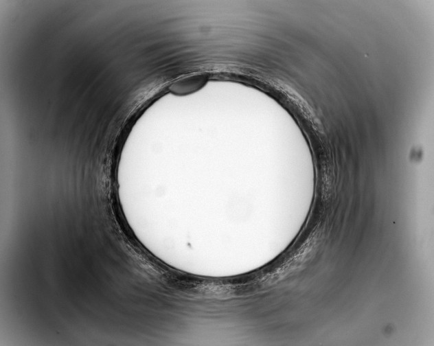 X0000103450977200810101124