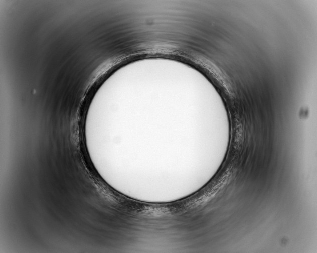 X0000103450978200810101124