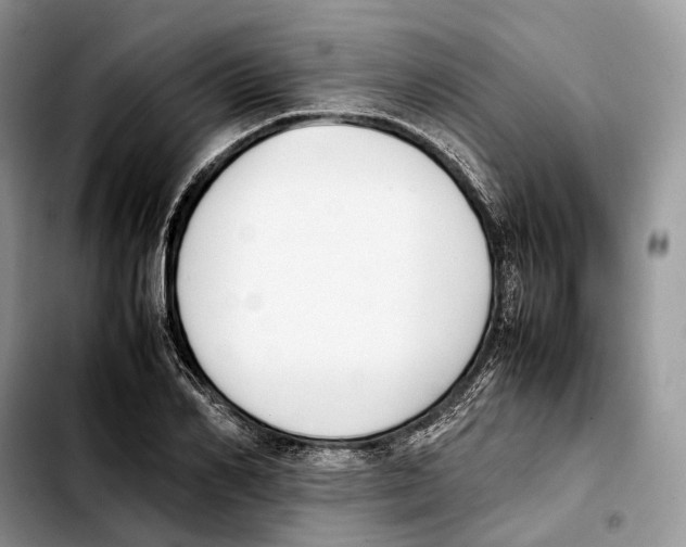 X0000103450982200810101124