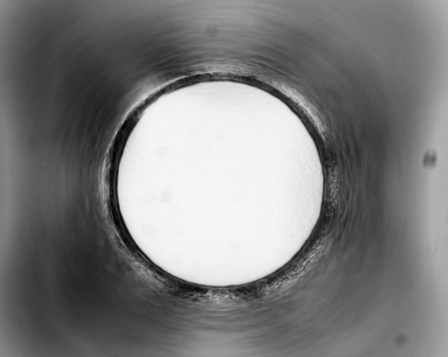 X0000103450983200810101124