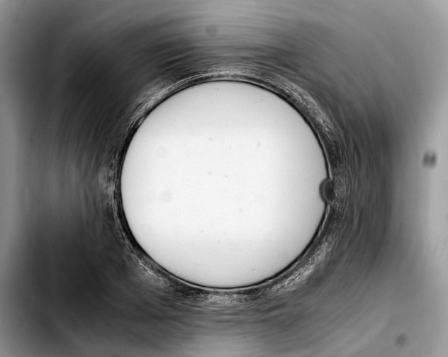 X0000103450985200810101124