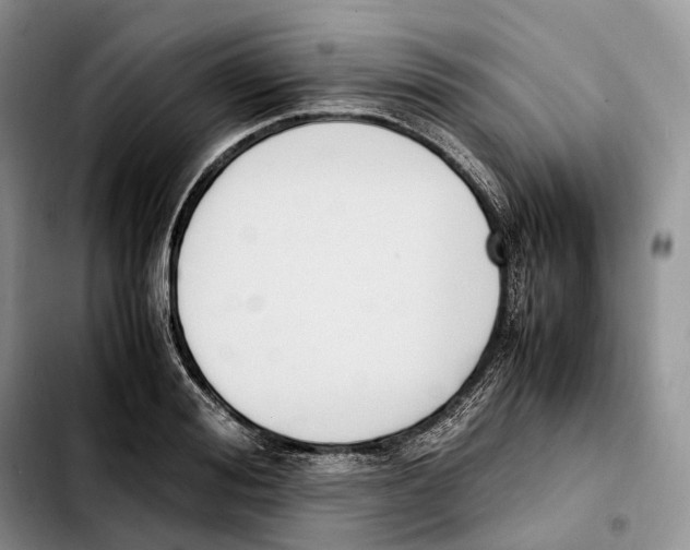 X0000103450988200810101124