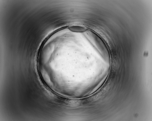 X0000103450989200810101124